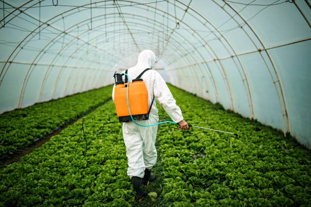 Best Best Pest Control Companies  in Lewisville, WA