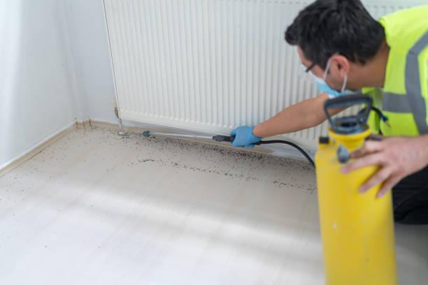 Best Wasp Removal Services  in Lewisville, WA
